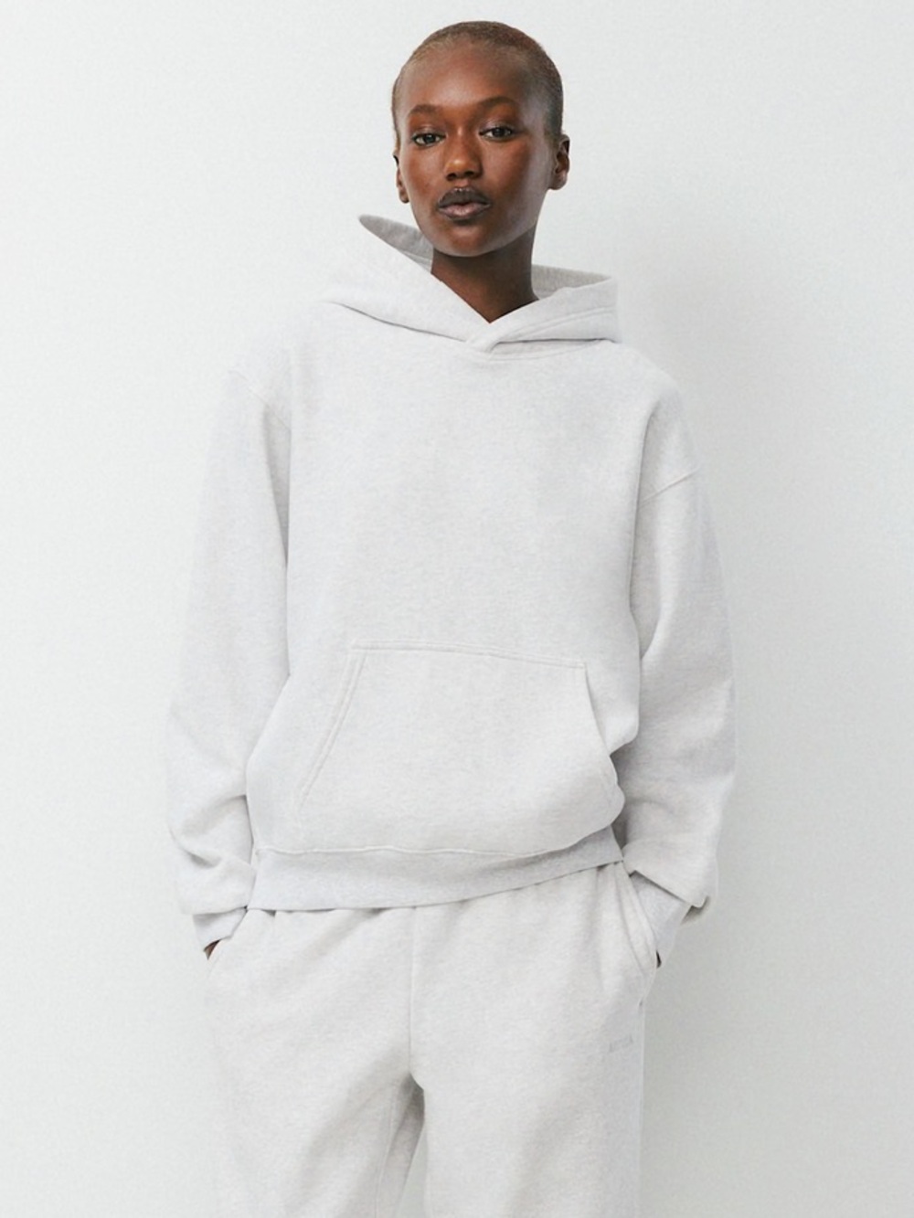 Aritzia Cozy Sweatfleece Perfect Hoodie